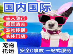 长沙黄花航空邮寄国际宠物托运 【国